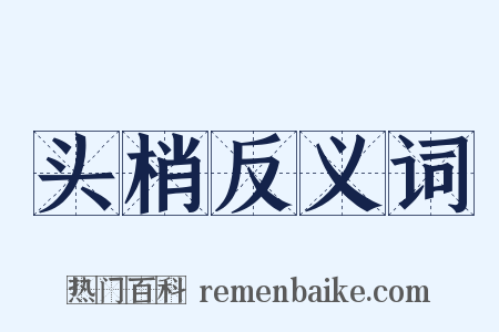 头梢反义词是什么意思的图片